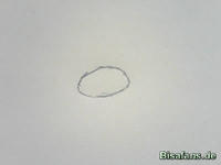 Zeichenkurs Galagladi - Schritt 1