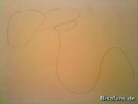 Zeichenkurs Garados - Schritt 1