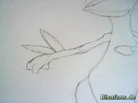 Zeichenkurs Gewaldro - Schritt 4
