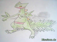 Zeichenkurs Gewaldro - Schritt 12