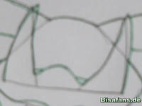 Zeichenkurs Granbull - Schritt 5