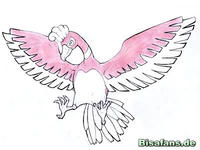 Zeichenkurs Ho-Oh - Schritt 16