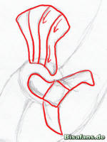 Zeichenkurs Ho-Oh - Schritt 7