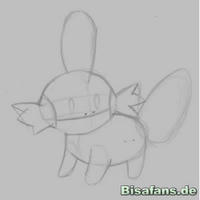 Zeichenkurs Hydropi - Schritt 4