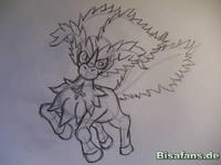 Zeichenkurs Keldeo - Schritt 8