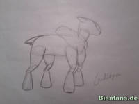 Zeichenkurs Kronjuwild - Schritt 2