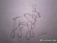 Zeichenkurs Kronjuwild - Schritt 3