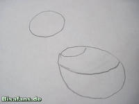 Zeichenkurs Latias - Schritt 2