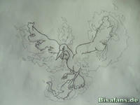 Zeichenkurs Lavados - Schritt 9