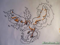 Zeichenkurs Lavados - Schritt 11