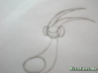 Zeichenkurs Libelldra - Schritt 4