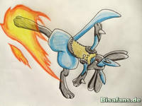 Zeichenkurs Lucario - Schritt 1