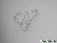 Zeichenkurs Milotic - Schritt 1