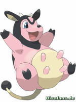 Zeichenkurs Miltank - Schritt 12