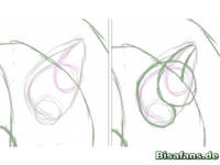 Zeichenkurs Monozyto - Schritt 3