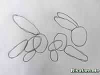 Zeichenkurs Nachtara - Schritt 1