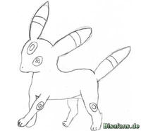 Zeichenkurs Nachtara - Schritt 4