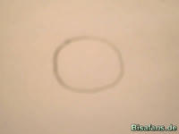 Zeichenkurs Palimpalim - Schritt 1