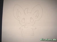 Zeichenkurs Picochilla - Schritt 4