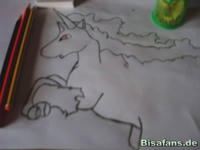 Zeichenkurs Ponita - Schritt 5