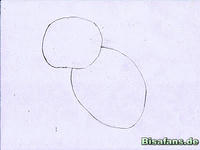 Zeichenkurs Schiggy (seitlich) - Schritt 1