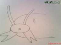 Zeichenkurs Schmerbe - Schritt 2