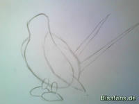 Zeichenkurs Schwalboss - Schritt 1