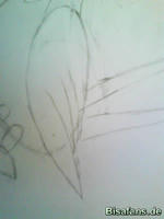 Zeichenkurs Schwalboss - Schritt 3