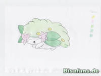 Zeichenkurs Shaymin (schlafend) - Schritt 1