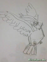 Zeichenkurs Tauboss - Schritt 5