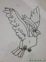 Zeichenkurs Tauboss - Schritt 6