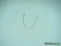 Zeichenkurs Togetic - Schritt 1