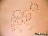 Zeichenkurs Vulnona - Schritt 3