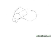 Zeichenkurs Washakwil - Schritt 1