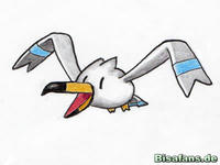 Zeichenkurs Wingull - Schritt 14