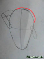 Zeichenkurs Woingenau - Schritt 4