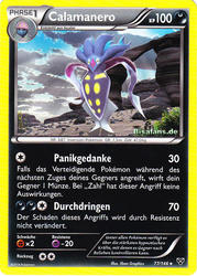 XY-Basisset 77/146 Calamanero