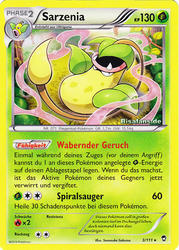 Fliegende Fäuste 3/111 Sarzenia