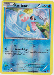 Phantomkräfte 15/119 Karnimani