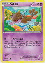 TURBOfieber 63/122 Algitt