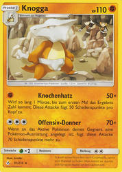 Kräfte im Einklang 91/214 Knogga