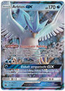 031	Arktos GX