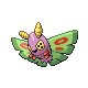 Pudox ♀ Pudox ♀