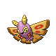 Pudox ♀ Pudox ♀