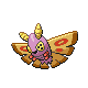 Pudox ♀ Pudox ♀