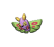 Pudox ♀ Pudox ♀