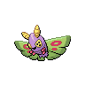 Pudox ♀ Pudox ♀