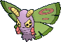 Pudox ♀ Pudox ♀