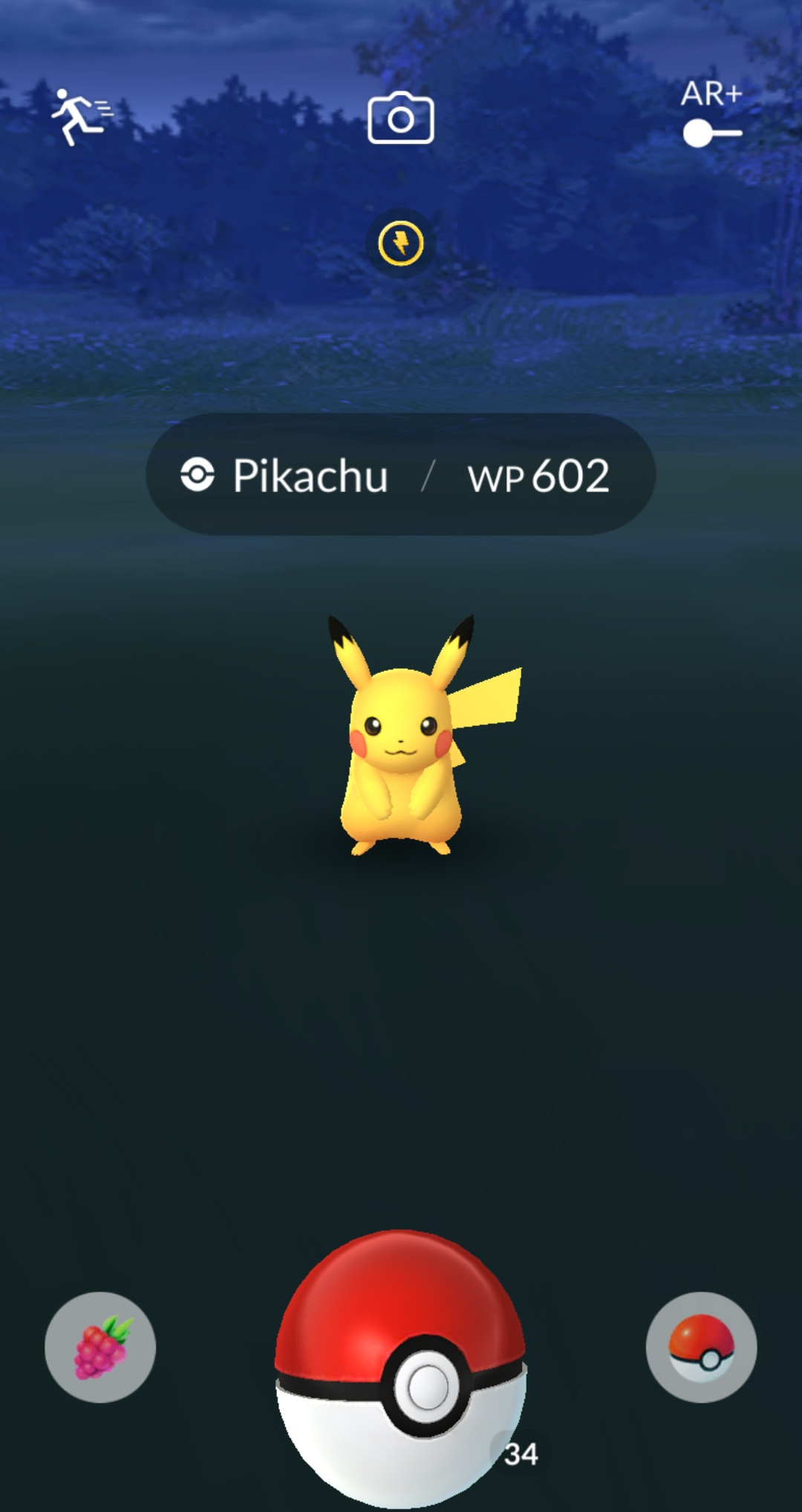 GO-Schnappschuss GO-Schnappschuss