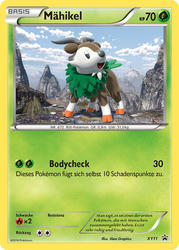 XY Black Star Promos XY11 Mähikel
